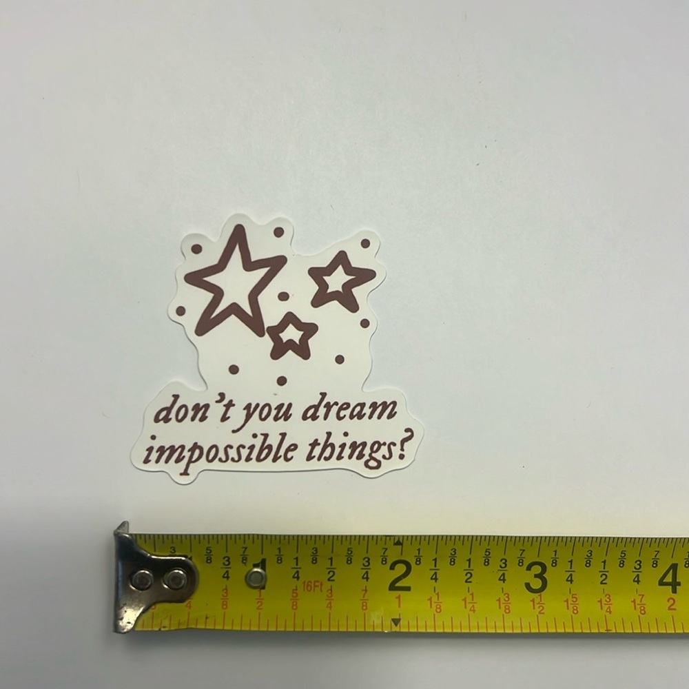 ⚪️Taylor Swift Inspired Vinyl Sticker